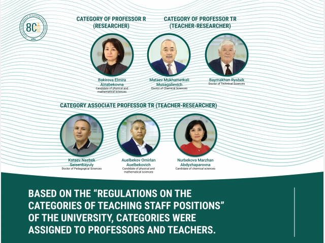 The following categories were assigned to the teaching staff of the University