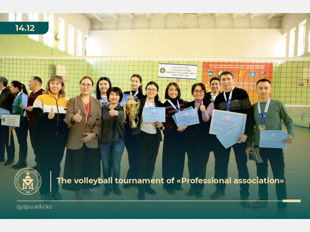The volleyball tournament of «Professional association»